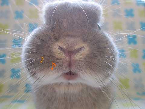 �{���̂���